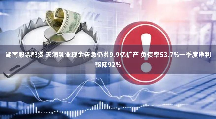 湖南股票配资 天润乳业现金告急仍募9.9亿扩产 负债率53.7%一季度净利骤降92%