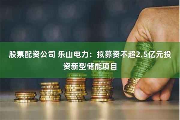 股票配资公司 乐山电力：拟募资不超2.5亿元投资新型储能项目