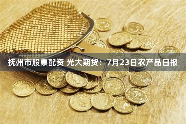 抚州市股票配资 光大期货：7月23日农产品日报